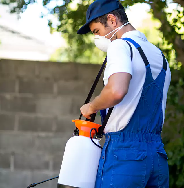 Why Mableton Pest Control Pro Is the Right Choice for Yellow Jacket Removal in Mableton, GA?