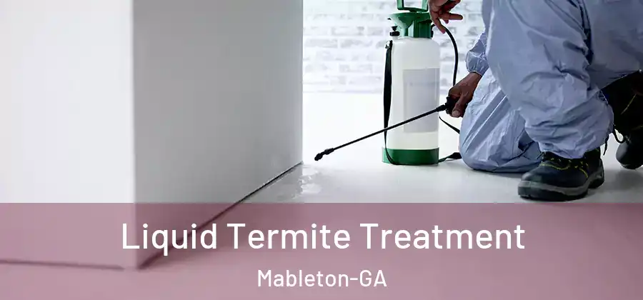  Liquid Termite Treatment Mableton-GA