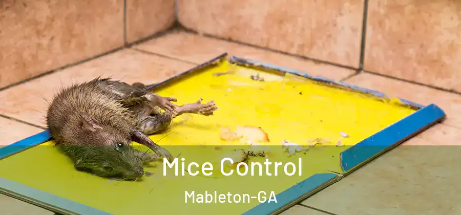 Mice Control Mableton-GA