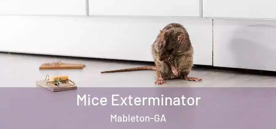 Mice Exterminator Mableton-GA