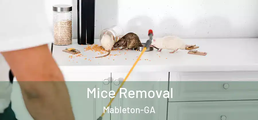 Mice Removal Mableton-GA