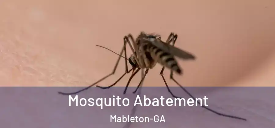 Mosquito Abatement Mableton-GA