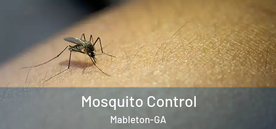 Mosquito Control Mableton-GA
