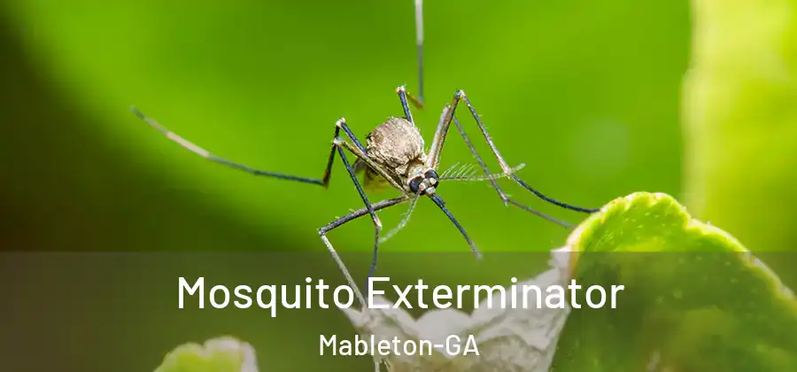 Mosquito Exterminator Mableton-GA