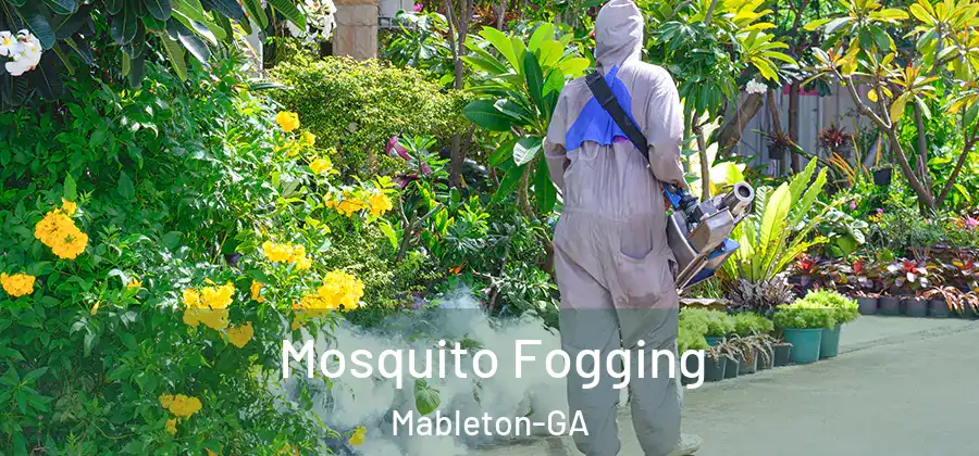 Mosquito Fogging Mableton-GA