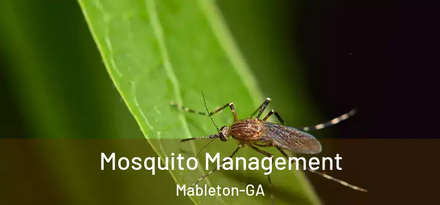 Mosquito Management Mableton-GA