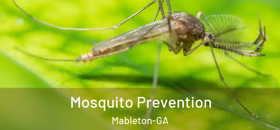 Mosquito Prevention Mableton-GA
