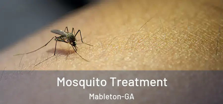  Mosquito Treatment Mableton-GA