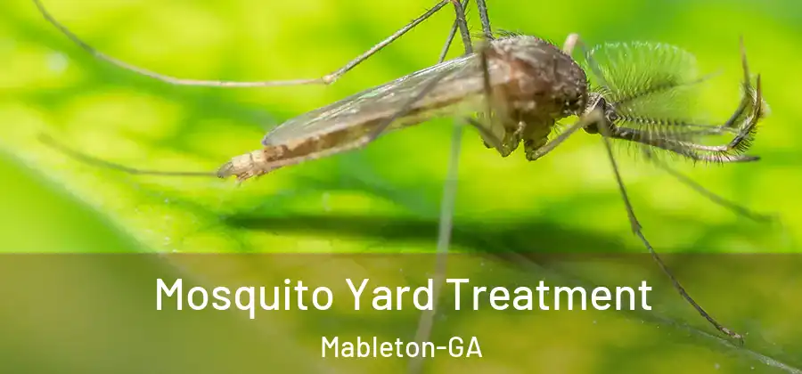  Mosquito Yard Treatment Mableton-GA