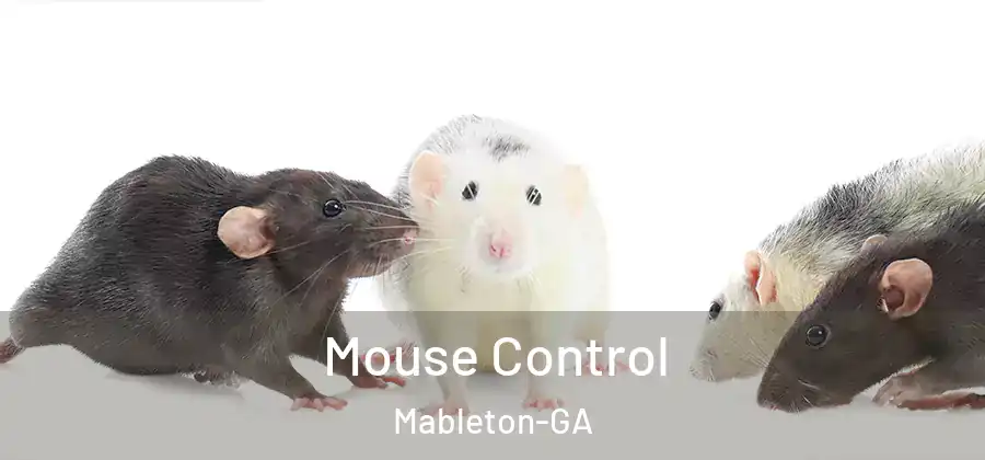  Mouse Control Mableton-GA