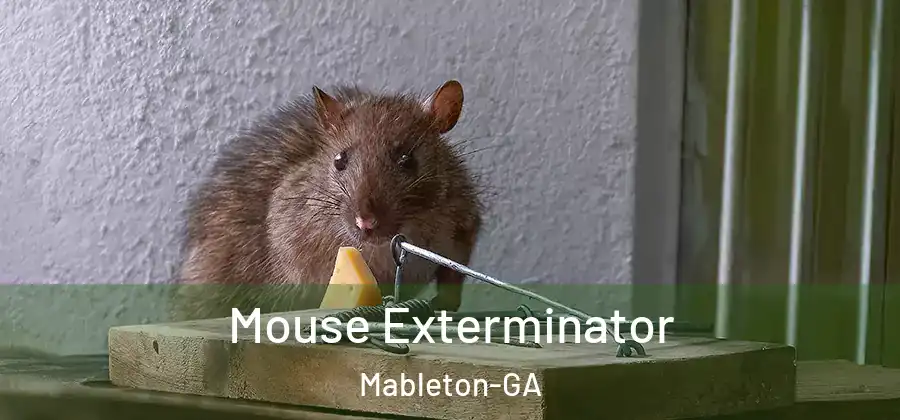 Mouse Exterminator Mableton-GA