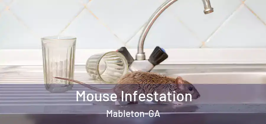 Mouse Infestation Mableton-GA