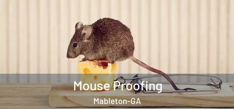  Mouse Proofing Mableton-GA