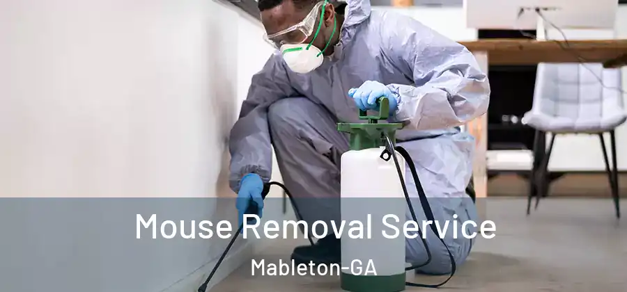  Mouse Removal Service Mableton-GA