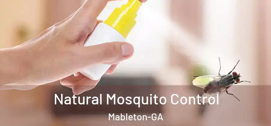 Natural Mosquito Control Mableton-GA