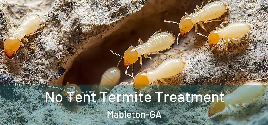 No Tent Termite Treatment Mableton-GA