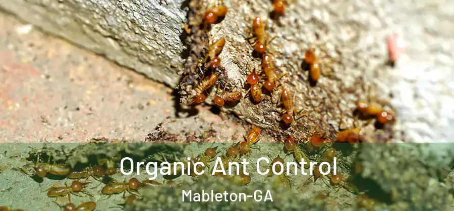 Organic Ant Control Mableton-GA
