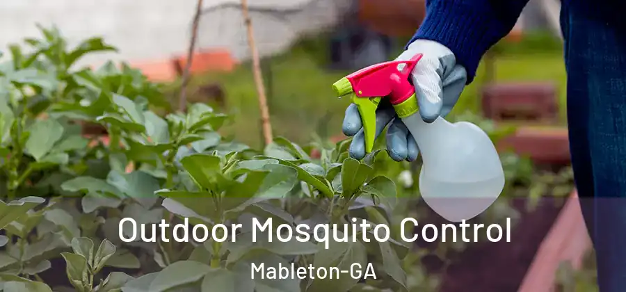  Outdoor Mosquito Control Mableton-GA