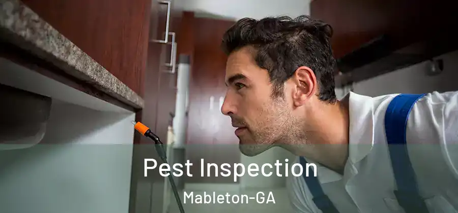  Pest Inspection Mableton-GA