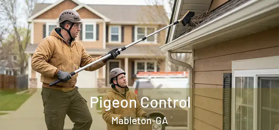 Pigeon Control Mableton-GA