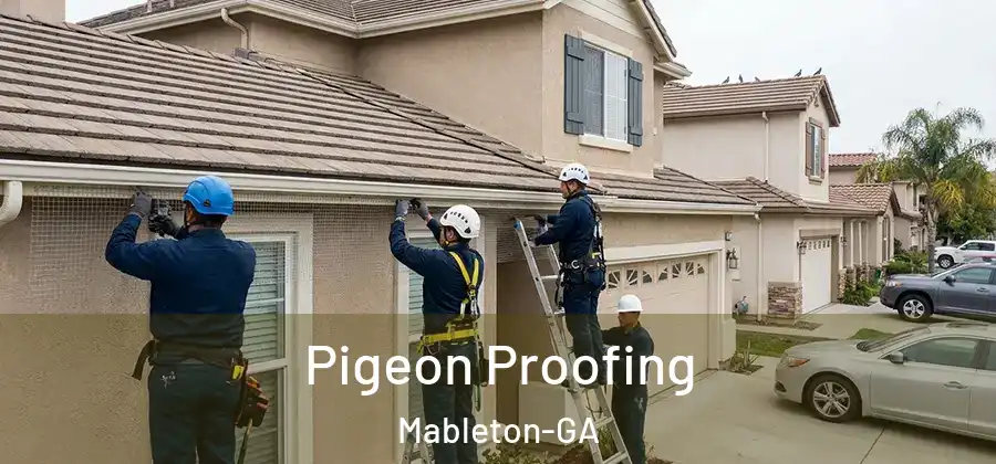 Pigeon Proofing Mableton-GA