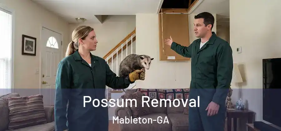 Possum Removal Mableton-GA