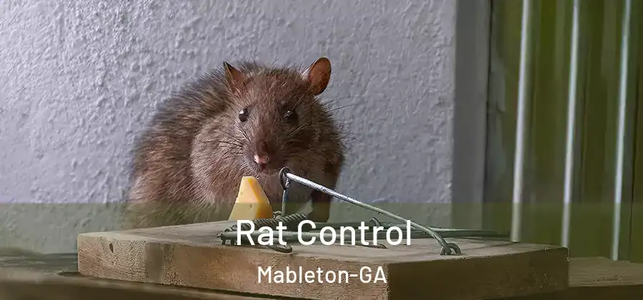  Rat Control Mableton-GA