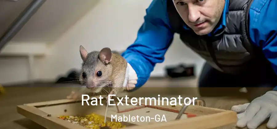 Rat Exterminator Mableton-GA