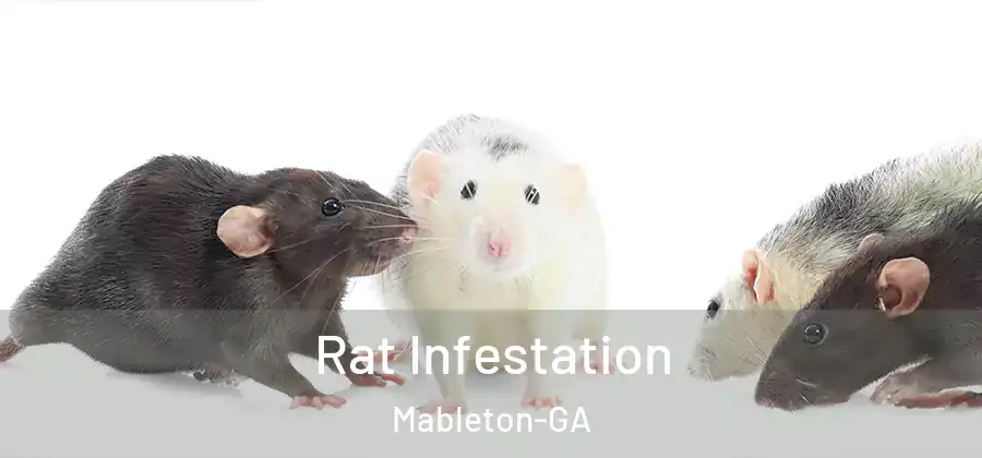 Rat Infestation Mableton-GA