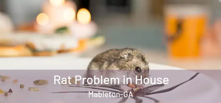 Rat Problem in House Mableton-GA