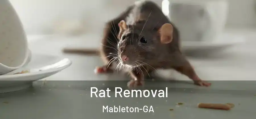 Rat Removal Mableton-GA