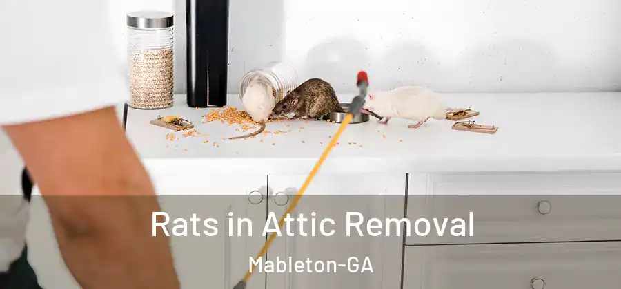 Rats in Attic Removal Mableton-GA