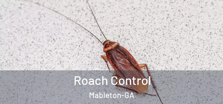 Roach Control Mableton-GA