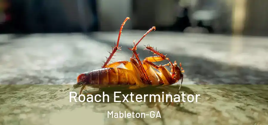  Roach Exterminator Mableton-GA