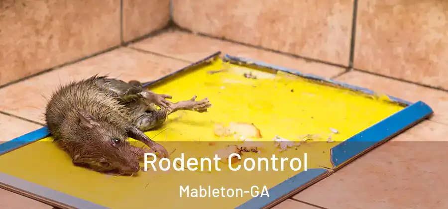 Rodent Control Mableton-GA