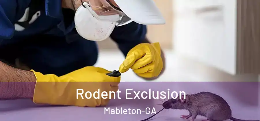  Rodent Exclusion Mableton-GA