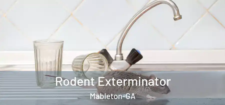 Rodent Exterminator Mableton-GA