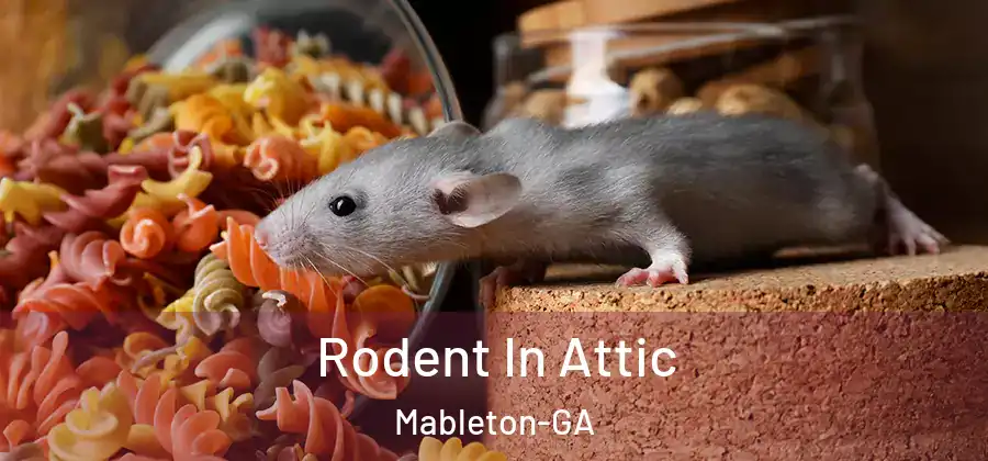 Rodent In Attic Mableton-GA