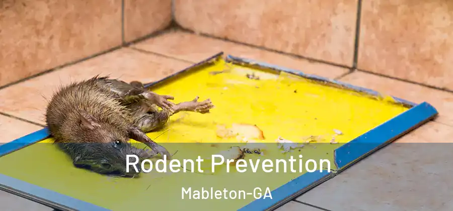 Rodent Prevention Mableton-GA