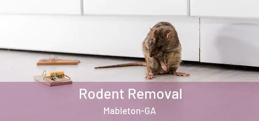 Rodent Removal Mableton-GA