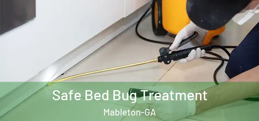 Safe Bed Bug Treatment Mableton-GA