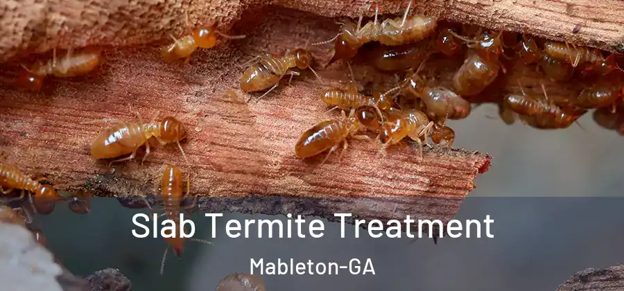 Slab Termite Treatment Mableton-GA