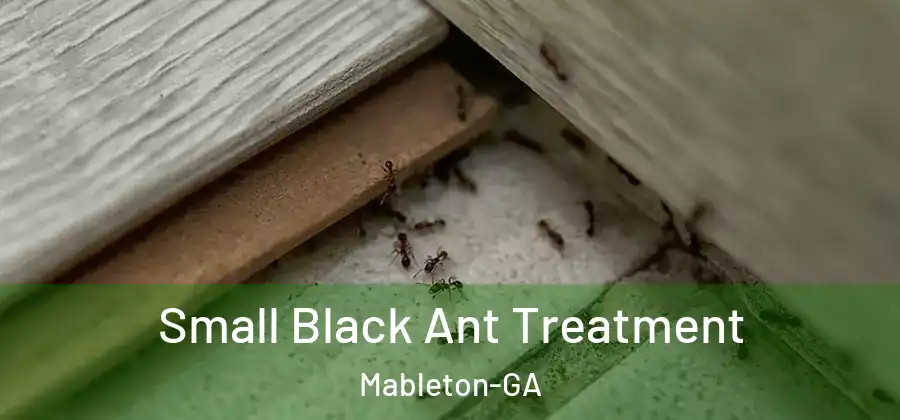  Small Black Ant Treatment Mableton-GA