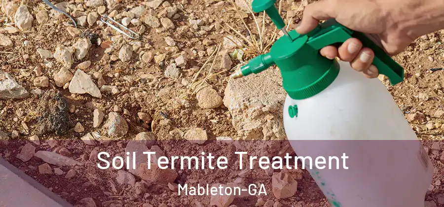Soil Termite Treatment Mableton-GA