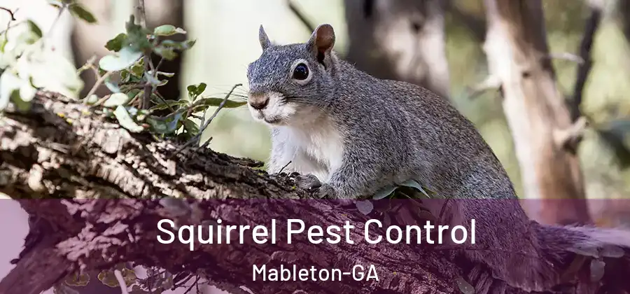 Squirrel Pest Control Mableton-GA