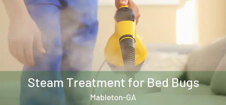 Steam Treatment for Bed Bugs Mableton-GA