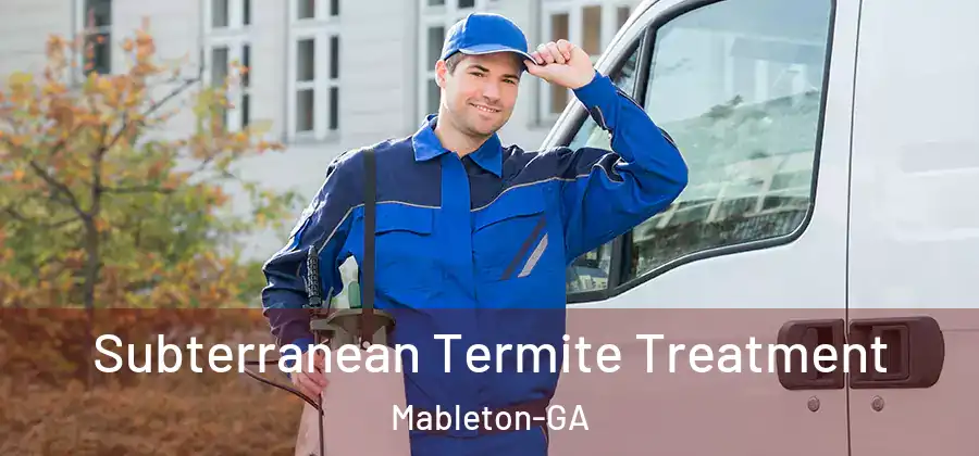 Subterranean Termite Treatment Mableton-GA
