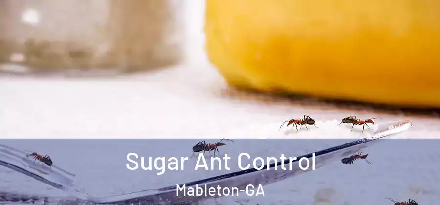 Sugar Ant Control Mableton-GA
