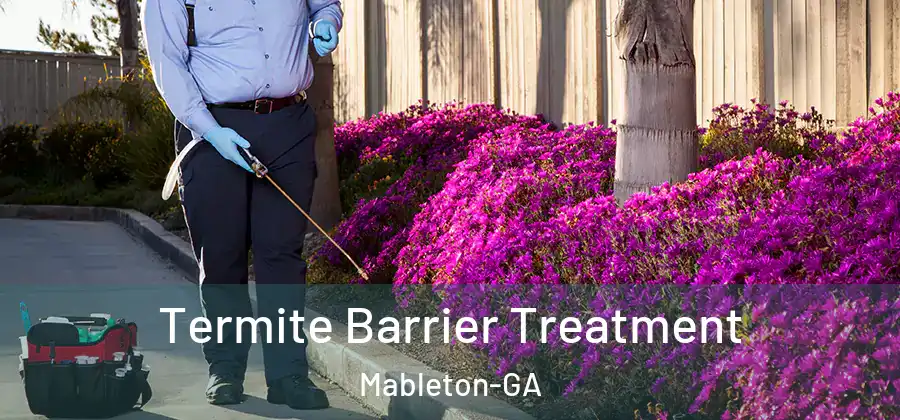 Termite Barrier Treatment Mableton-GA