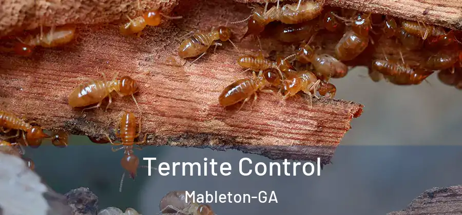  Termite Control Mableton-GA